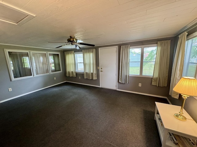 321 E N St, Sheffield, IL 61361 - unfurnished living room featuring plenty of natural light, a ceiling fan, dark colored carpet, baseboards, and wooden ceiling