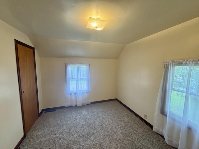 321 E N St, Sheffield, IL 61361 - bonus room with vaulted ceiling, carpet, and baseboards
