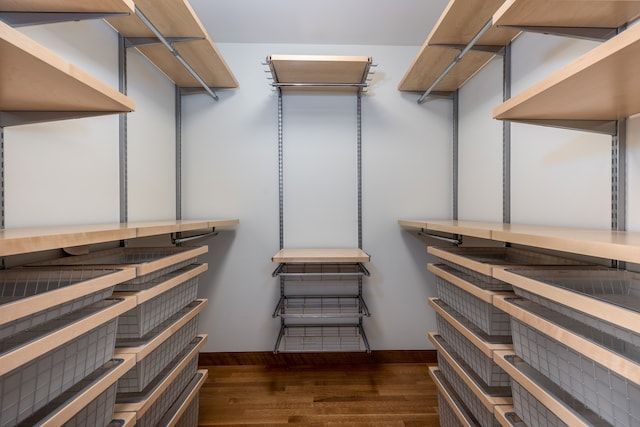 spacious closet featuring dark wood-type flooring