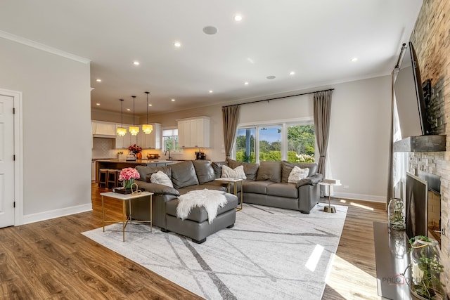 living room with wood-type flooring, a large fireplace, and crown molding