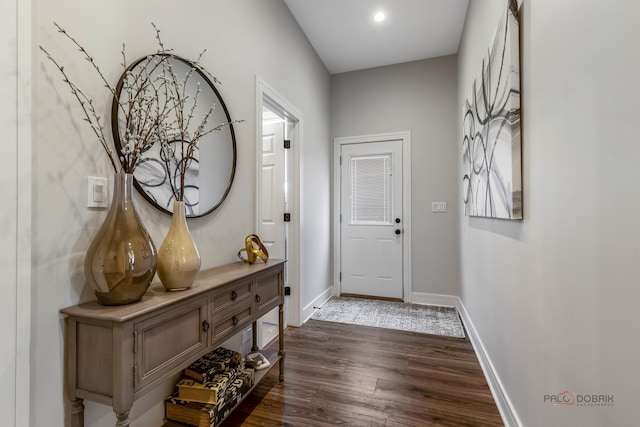 entryway featuring dark wood-type flooring