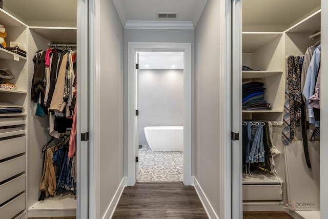 walk in closet featuring dark hardwood / wood-style floors