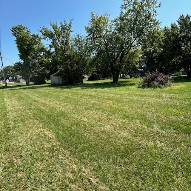 11629 Oak St, Downs, IL 61736 - photo 4