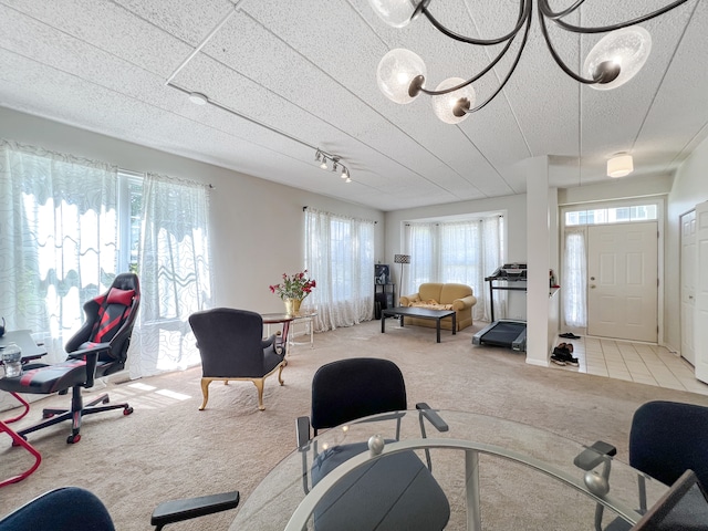 interior space with light colored carpet and rail lighting