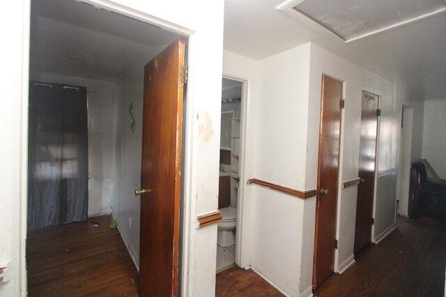 hallway with dark hardwood / wood-style flooring