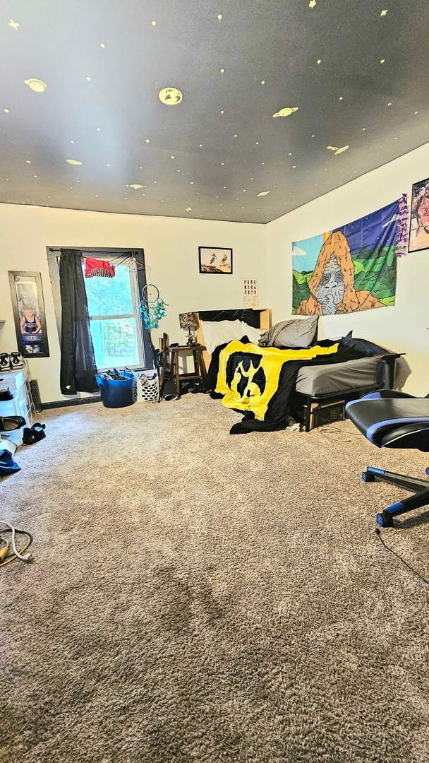 bedroom with carpet flooring