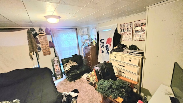 bedroom with carpet flooring