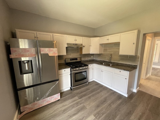 kitchen featuring under cabinet range hood, a sink, backsplash, dark wood-style floors, and appliances with stainless steel finishes