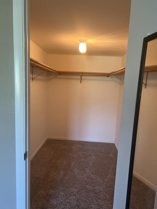 spacious closet with carpet flooring