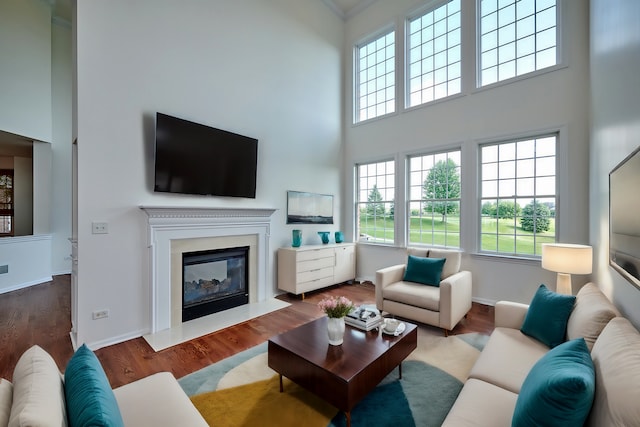 living room featuring hardwood / wood-style flooring and a high ceiling