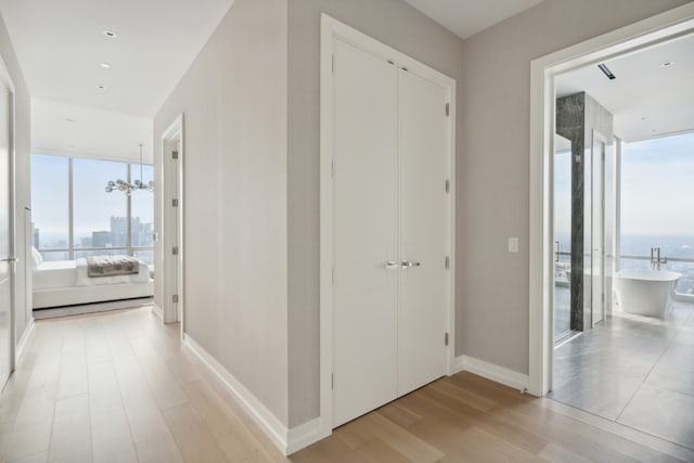 hallway featuring light hardwood / wood-style flooring