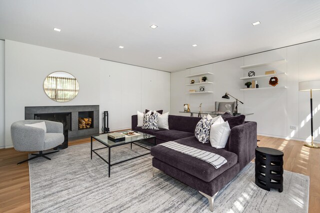 living room featuring a premium fireplace and light hardwood / wood-style flooring