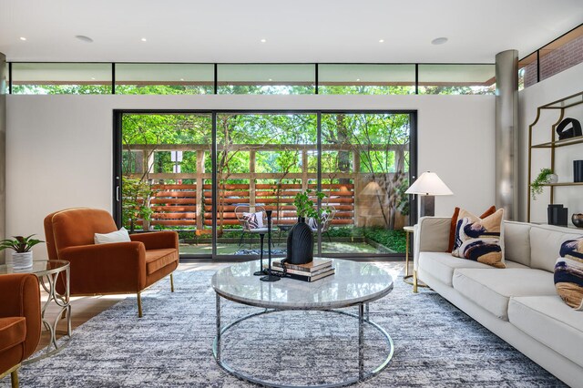 living room featuring wood-type flooring and a wealth of natural light