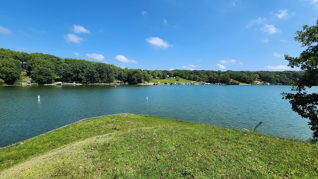 26 Magnolia Ct, Putnam IL, 61560 land for sale