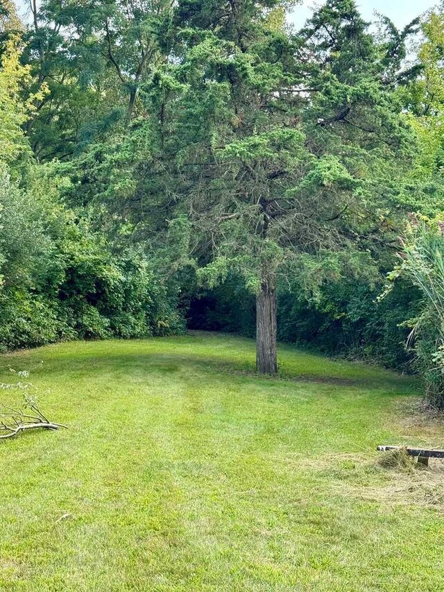 3725 N Jugtown Rd, Morris, IL 60450 - photo 40