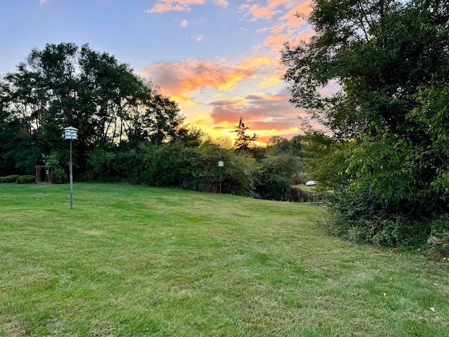 view of yard at dusk