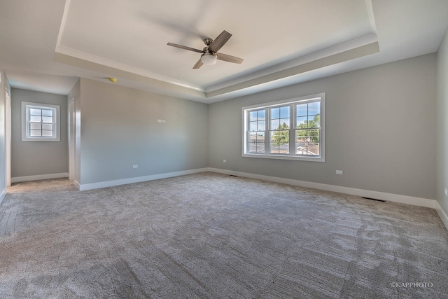 unfurnished room featuring a raised ceiling, a wealth of natural light, ceiling fan, and carpet