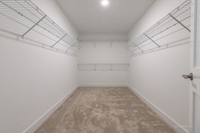 spacious closet with carpet flooring