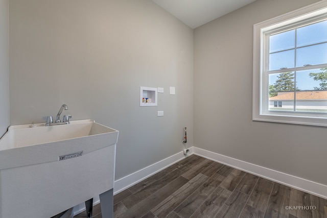 laundry area with hookup for a washing machine, sink, and dark hardwood / wood-style flooring