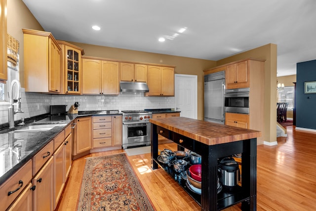 kitchen with butcher block countertops, light brown cabinets, premium appliances, and light hardwood / wood-style flooring