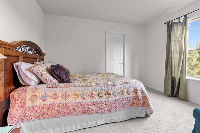 bedroom with carpet floors