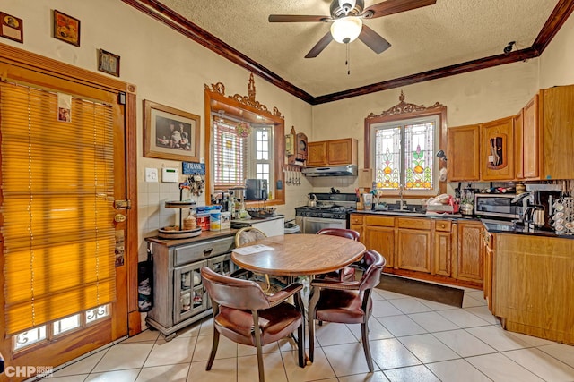 kitchen with a wealth of natural light, stainless steel appliances, light tile patterned floors, and ceiling fan