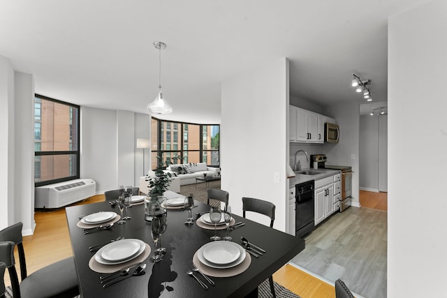 dining space with sink, track lighting, and light hardwood / wood-style floors