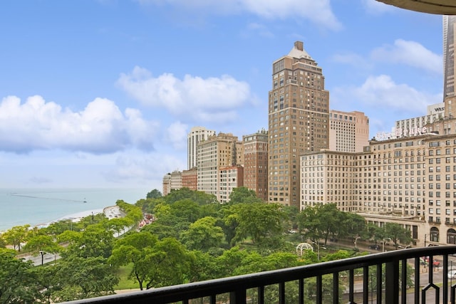 1040 N Lake Shore Dr Unit 9A, Chicago, IL 60611 - view of city featuring a large body of water