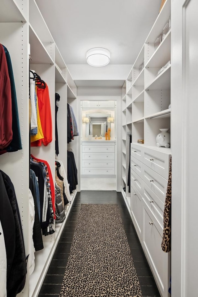 1040 N Lake Shore Dr Unit 9A, Chicago, IL 60611 - spacious closet featuring dark wood-type flooring