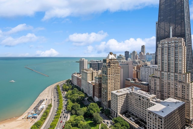 1040 N Lake Shore Dr Unit 9A, Chicago, IL 60611 - city view featuring a large body of water