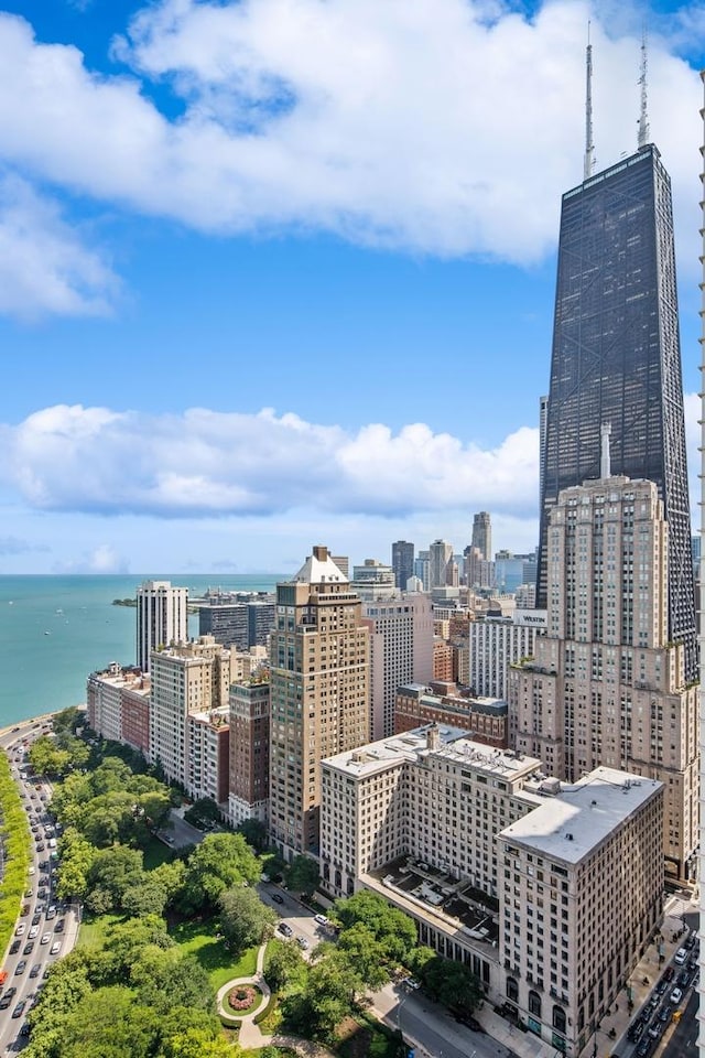 1040 N Lake Shore Dr Unit 9A, Chicago, IL 60611 - skyline view featuring a nearby body of water