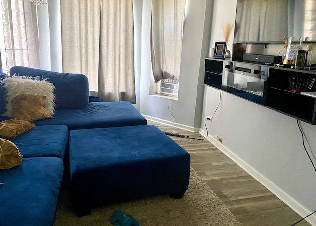 living room featuring hardwood / wood-style floors and plenty of natural light