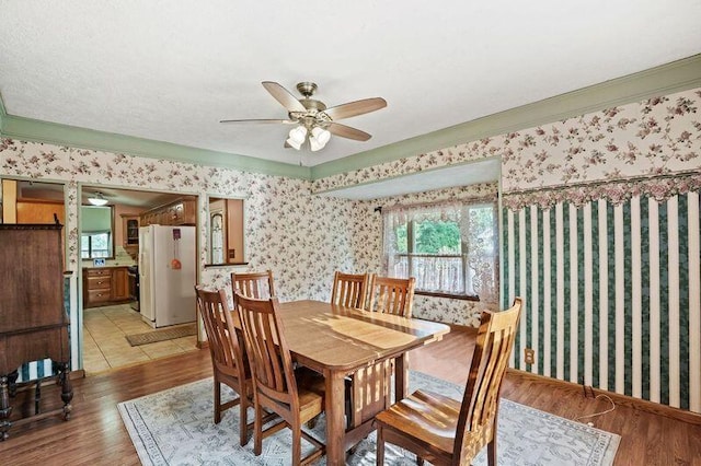 dining space with crown molding, ceiling fan, and light hardwood / wood-style floors