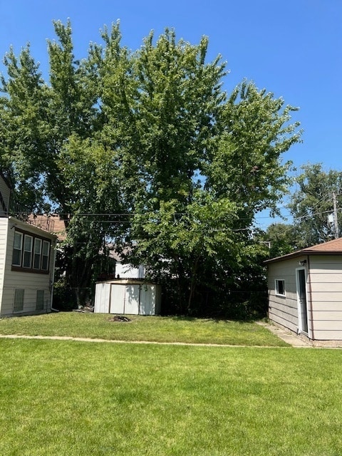 view of yard with a shed