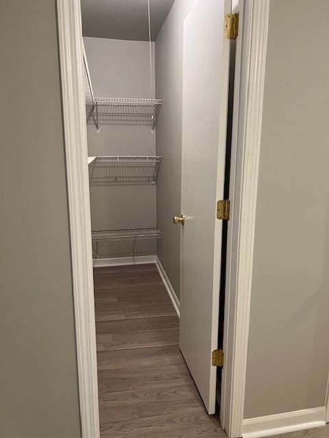 spacious closet with wood finished floors