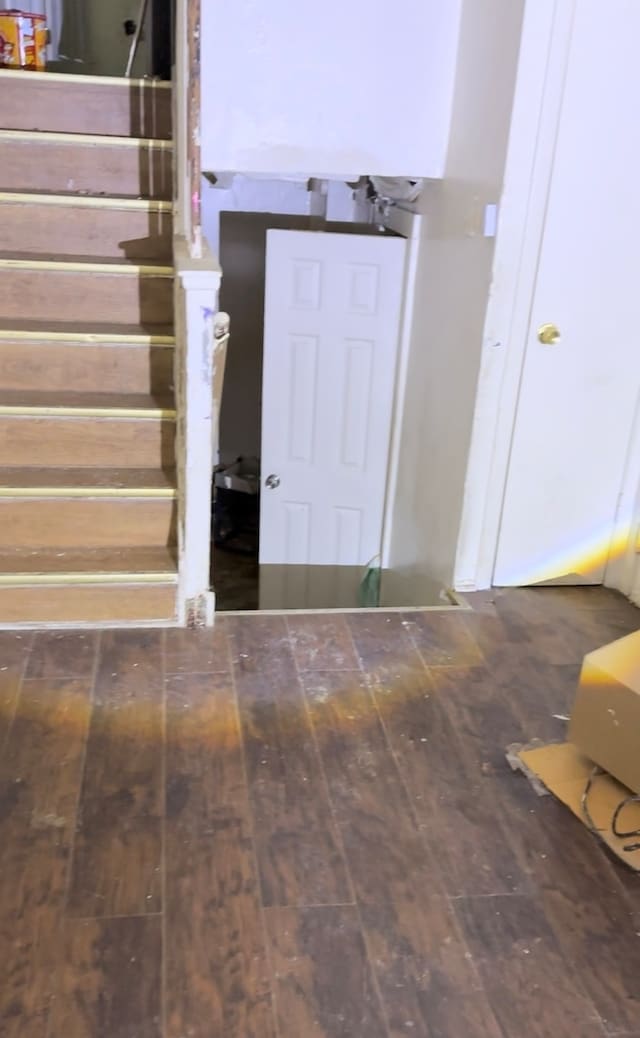 foyer with dark hardwood / wood-style floors