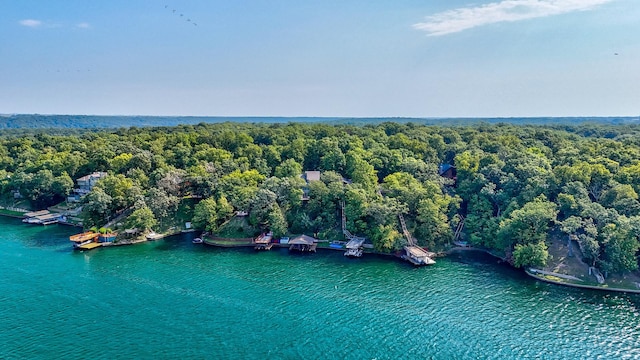 birds eye view of property with a water view and a view of trees