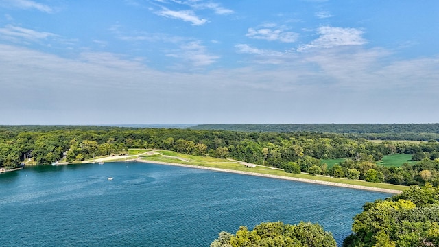 aerial view with a water view and a view of trees