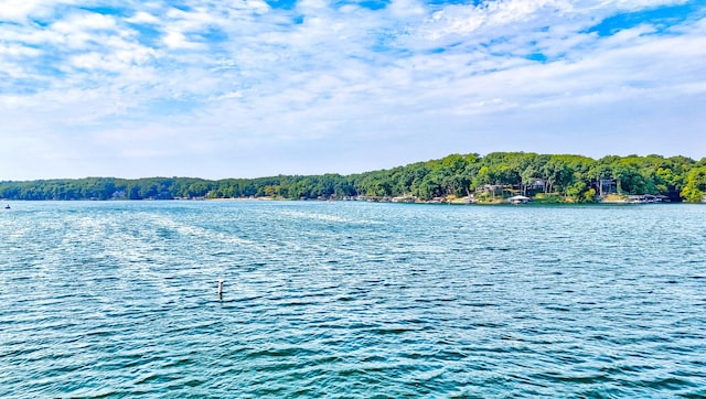 water view with a wooded view