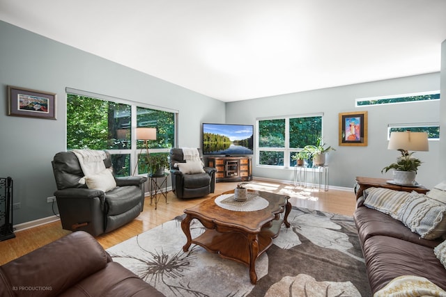 living room with a healthy amount of sunlight and wood-type flooring