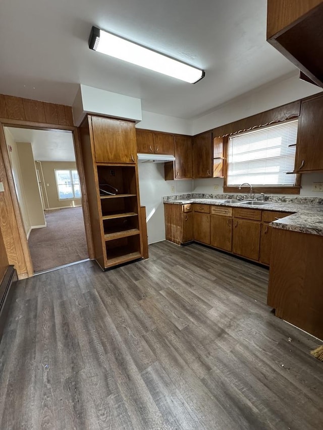 kitchen with dark wood-style floors, light countertops, brown cabinetry, and a sink