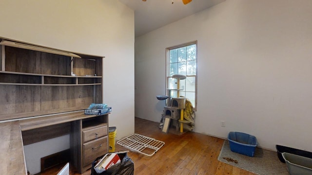 office featuring ceiling fan and light wood-type flooring