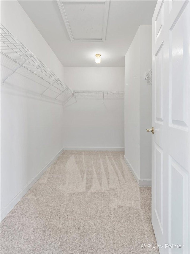 spacious closet with light colored carpet