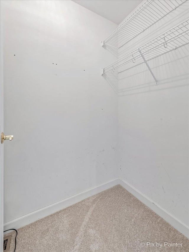 spacious closet with carpet