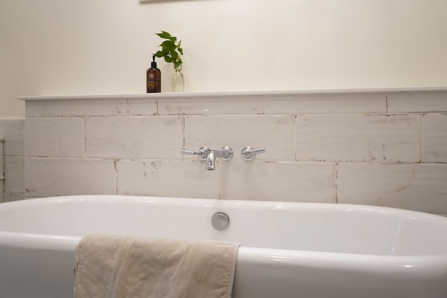 bathroom with a bathing tub