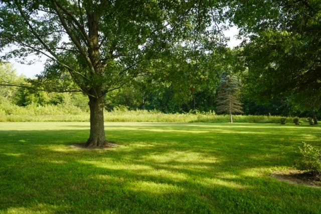 view of home's community featuring a lawn