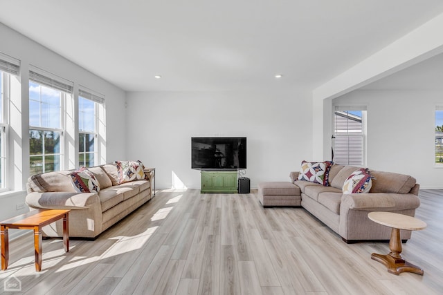 living room with light wood-type flooring and a wealth of natural light