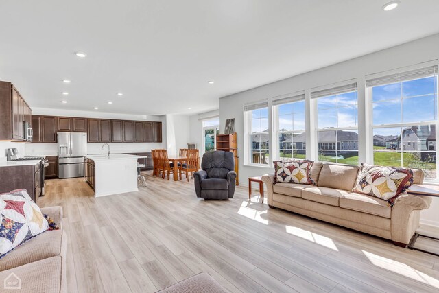 living room with a wealth of natural light, sink, and light hardwood / wood-style floors