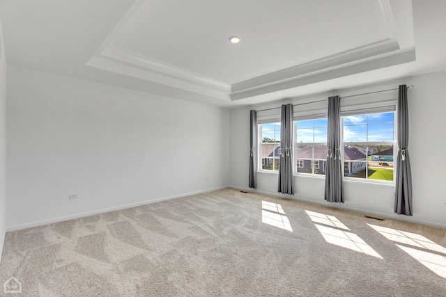 carpeted spare room with a raised ceiling