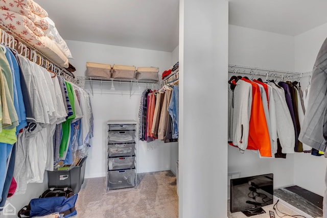 spacious closet with carpet floors